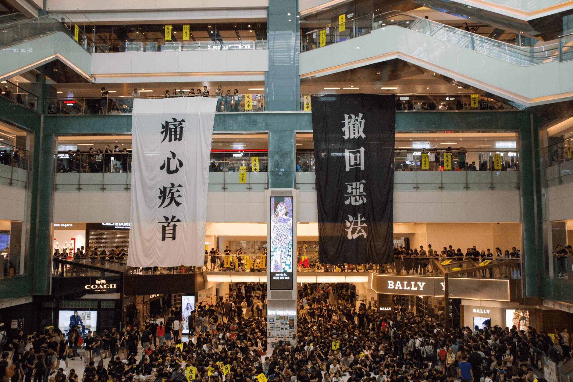 Indoor Banner Printing Ideas to Elevate Your Event